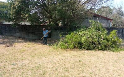 GOBIERNO MUNICIPAL DA MANTENIMIENTO Y LIMPIEZA A LAS ÁREAS DEPORTIVAS DE TAMUÍN