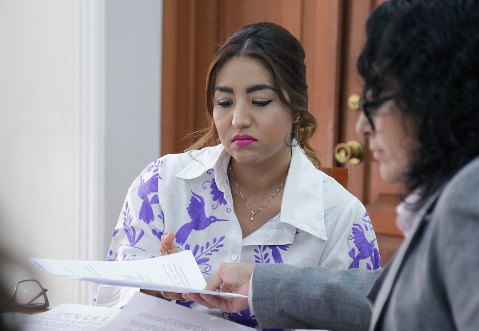 INICIATIVA BUSCA TIPIFICAR EL DELITO DE VIOLENCIA VICARIA COMO UN TIPO PENAL DISTINTO AL DE VIOLENCIA FAMILIAR: DIP. ROXANNA HERNÁNDEZ