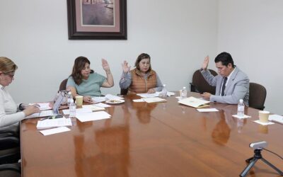 RECIBE LA COMISIÓN DE TRANSPARENCIA Y ACCESO A LA INFORMACIÓN PÚBLICA, INICIATIVA DE REFORMA PARA EXTINGUIR LA CEGAIP: DIP. DIANA RUELAS GAITÁN
