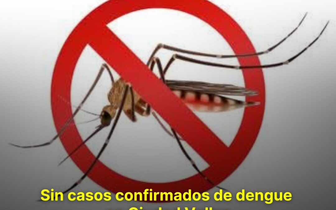 SIN CASOS CONFIRMADOS DE DENGUE EN CIUDAD VALLES