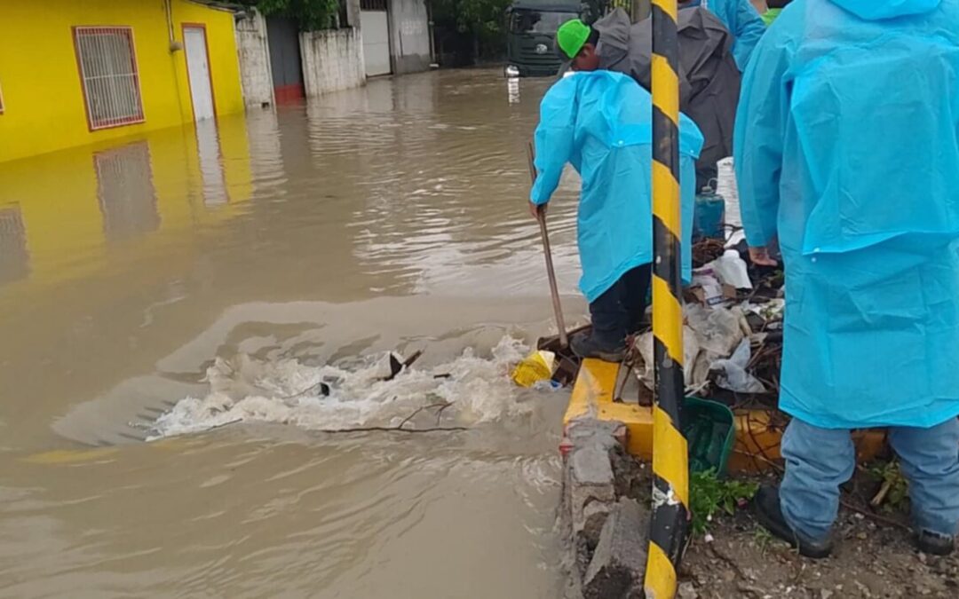 CIUDAD VALLES REFUERZA SANEAMIENTO BÁSICO CON JORNADA DE DESCACHARRIZACIÓN