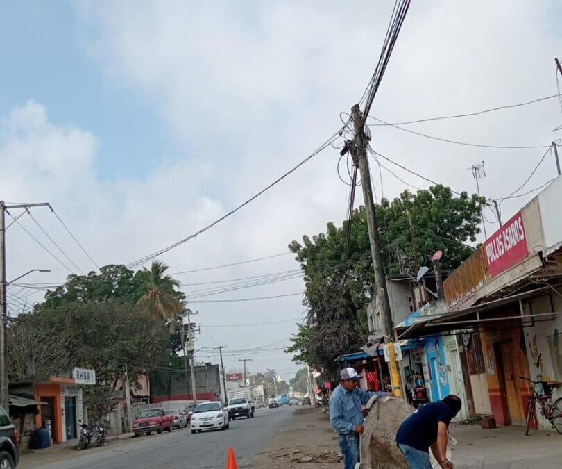 HACEN LIMPIEZA EN LA AVENIDA PEDRO ANTONIO DE LOS SANTOS DEL MUNICIPIO DE TAMUÍN