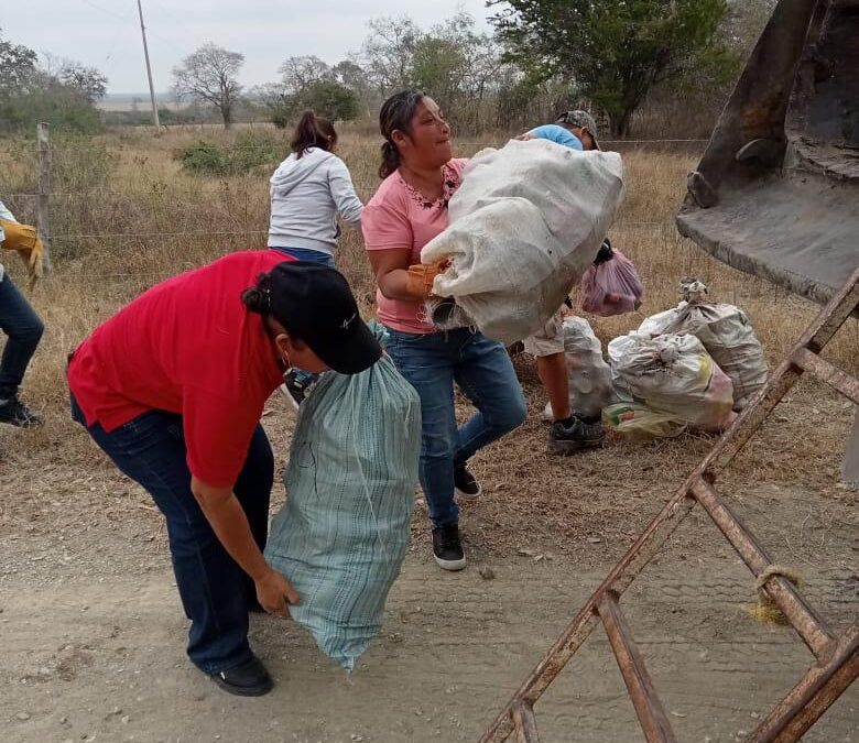 EL GOBIERNO MUNICIPAL PREVIENE CRIADEROS DE MOSQUITOS EN EL EJIDO ESTACION TAMUÍN