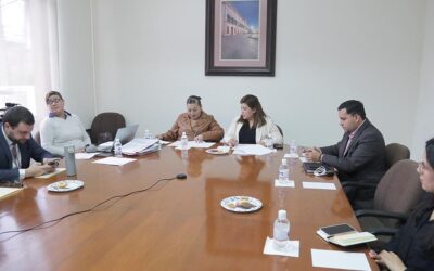 PERSONAS FÍSICAS O MORALES PODRÍAN BRINDAR SERVICIO DE TRANSPORTE DE PERSONAL