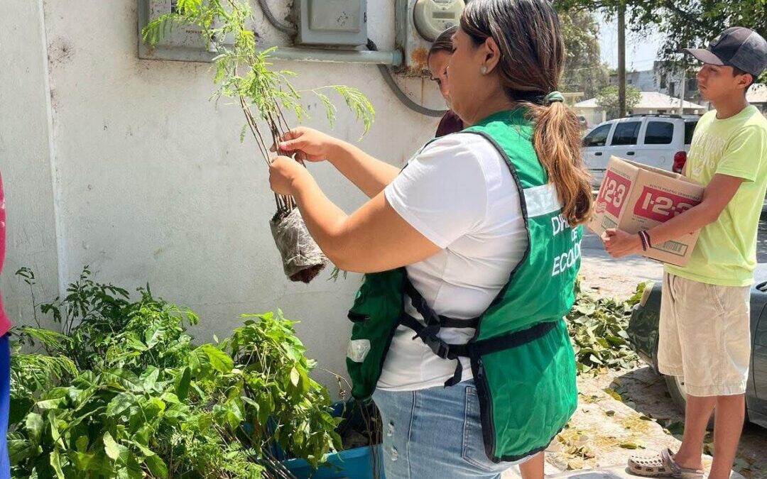 REFORESTACIÓN Y DONACIÓN DE ÁRBOLES REALIZARÁ EL GOBIERNO MUNICIPAL POR UN TAMUÍN MÁS VERDE