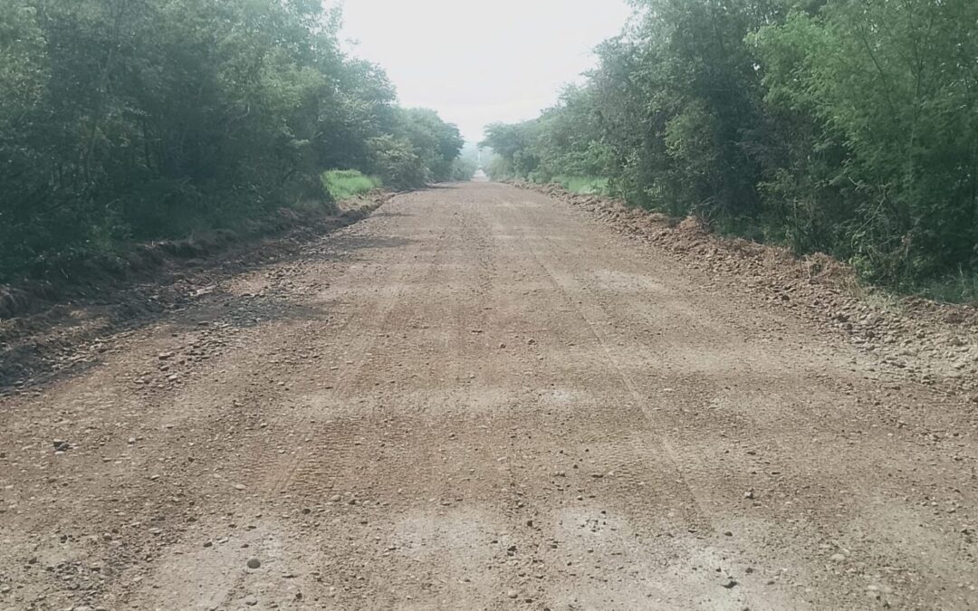 EL GOBIERNO DE TAMUÍN REHABILITA CAMINOS RURALES MEJORANDO LA MOVILIDAD DE EJIDOS Y COMUNIDADES