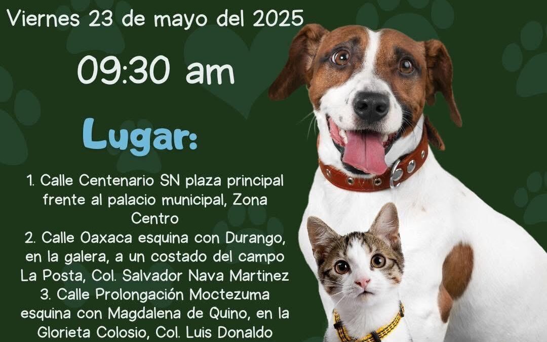 🐶🐱¡Es hoy! ¡Jornada Intensiva de Vacunación Antirrábica!
