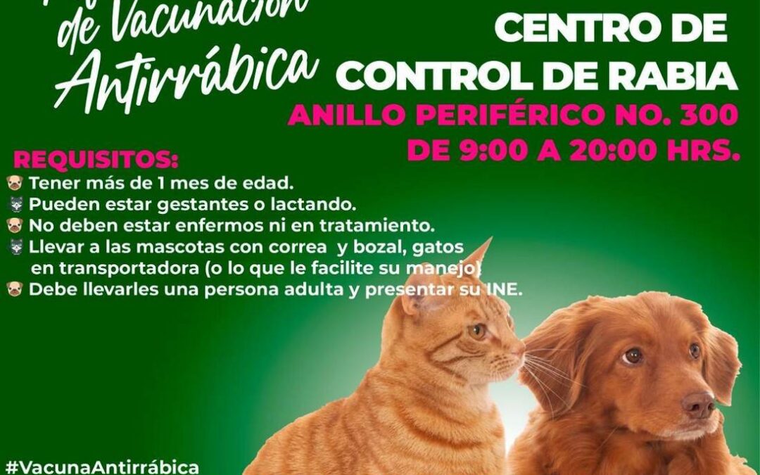 GOBIERNO ESTATAL FORTALECE ACCIONES DE BIENESTAR ANIMAL EN DICIEMBRE