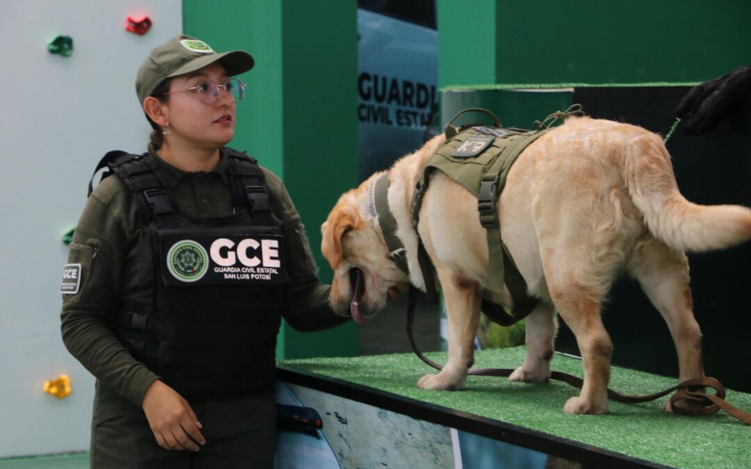 MÁS DE 450 MUJERES DE LA GUARDIA CIVIL ESTATAL, FORTALECEN LA SEGURIDAD EN SLP