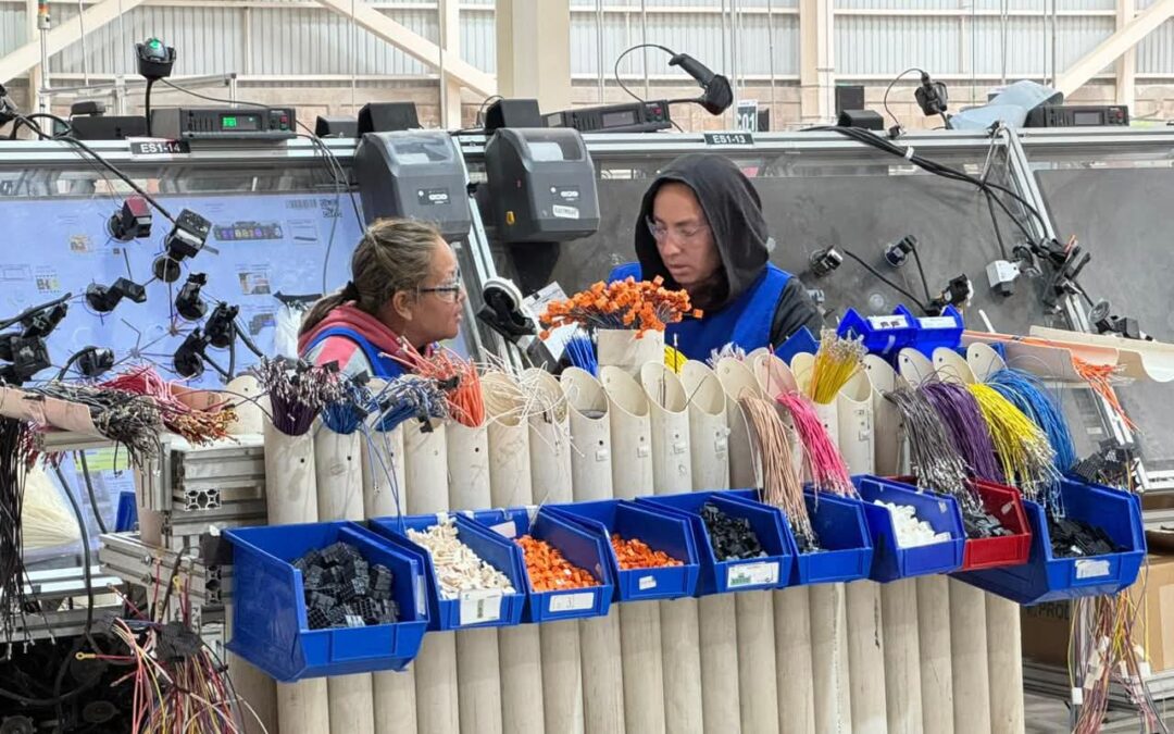 MÁS DE 519 MIL MUJERES IMPULSAN LA ECONOMÍA DE SAN LUIS