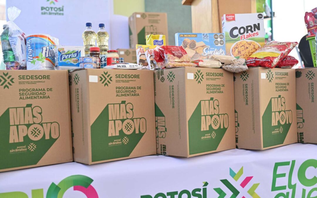 MÁS INFRAESTRUCTURA Y APOYOS ALIMENTARIOS ACERCA RICARDO GALLARDO A SALINAS