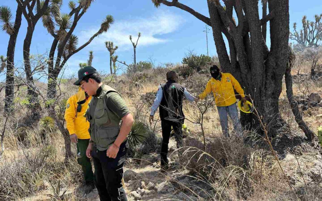 GOBIERNO DEL ESTADO TRABAJA EN EL COMBATE DE LOS INCENDIOS FORESTALES EN EL ESTADO