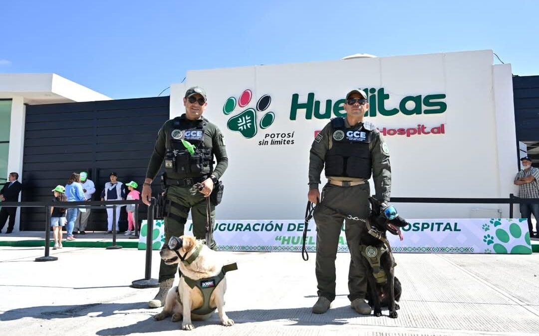 RICARDO GALLARDO SE MANTIENE ENTRE LOS GOBERNADORES MEJOR EVALUADOS DEL PAÍS