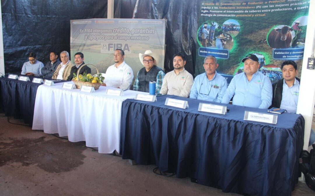 GOBIERNO MUNICIPAL DE TAMUÍN IMPULSA LA CAPACITACIÓN DE PRODUCTORES CITRÍCOLAS EN FIRA