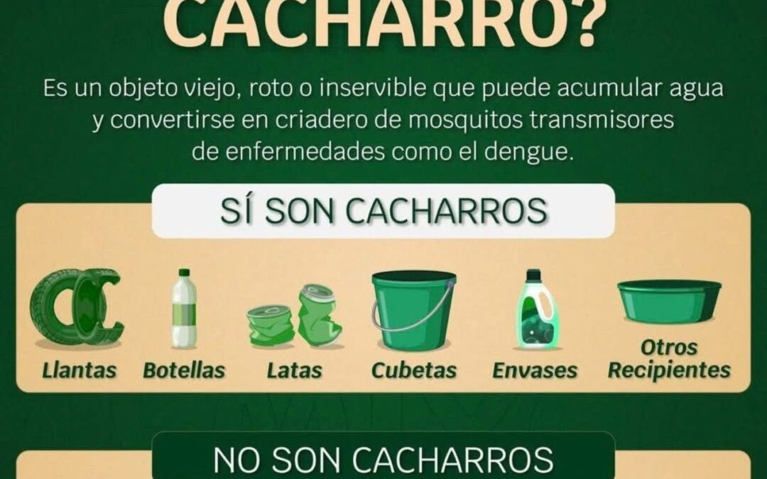 ✅JORNADA DE DESCACHARRIZACIÓN REALIZARÁ MAÑANA EL GOBIERNO MUNICIPAL DE TAMUÍN