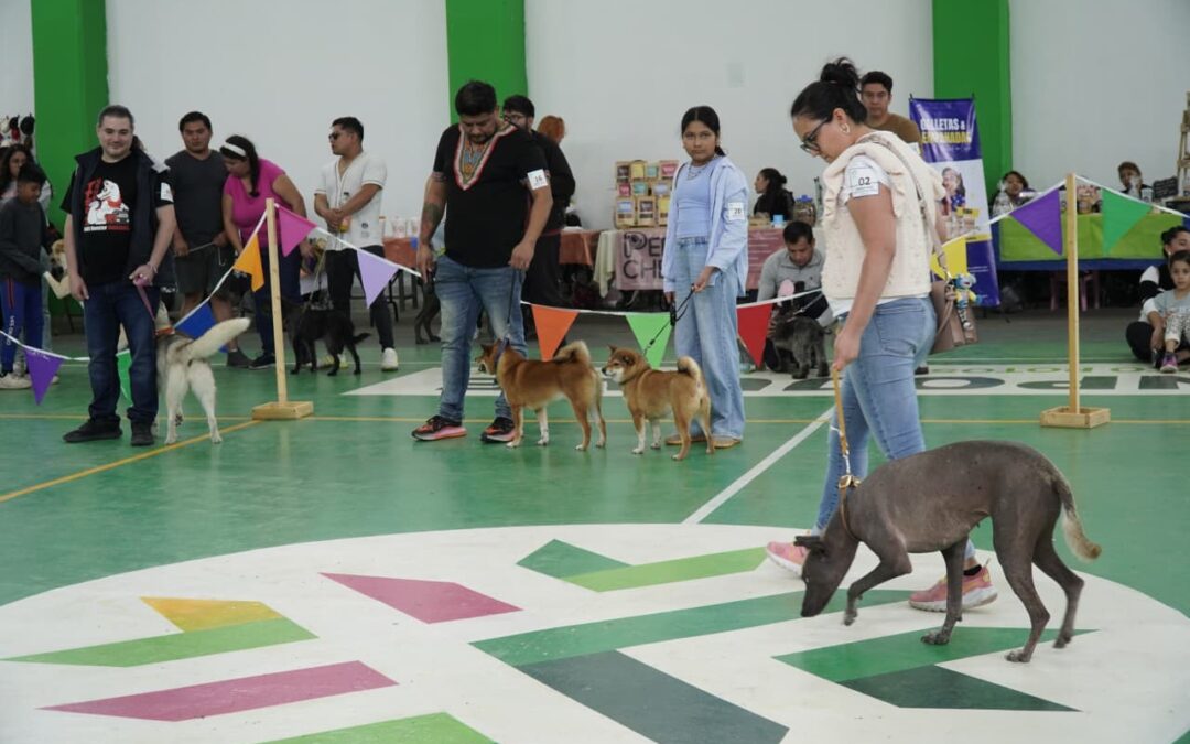 GOBIERNO ESTATAL INVITA AL DOG FEST JUVENTUD 2026