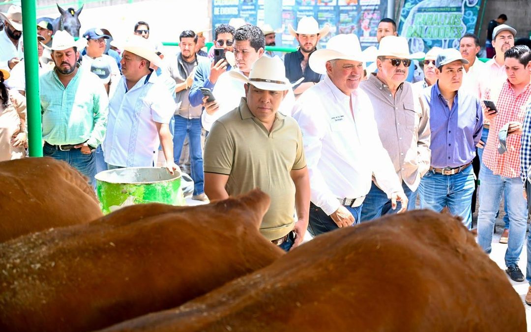 FENAPO EXHIBE LO MEJOR DEL GANADO LIMOUSIN NACIONAL