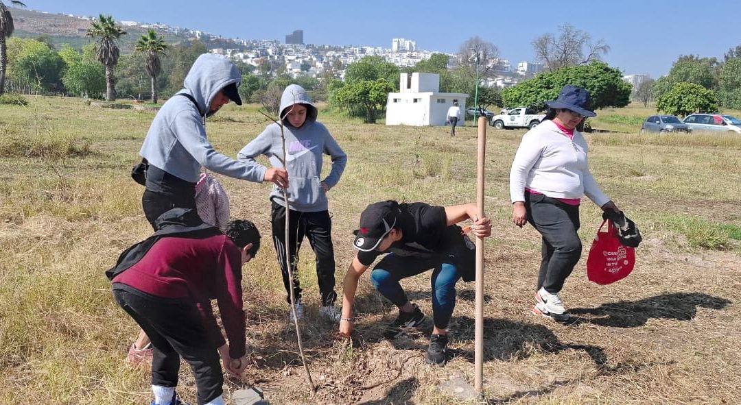 GOBIERNO DEL ESTADO REFORESTA CON ESPECIES FRUTALES Y MADERABLES