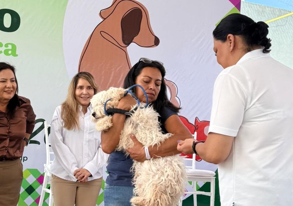 MÁS DE 553 MIL MASCOTAS PROTEGIDAS CONTRA LA RABIA EN SAN LUIS POTOSÍ