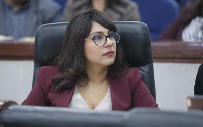 SE BUSCA FORTALECER EL FUNCIONAMIENTO DEL PADRÓN ESTATAL DE PERSONAS DEUDORAS ALIMENTARIAS MOROSAS Y GARANTIZAR SU CARÁCTER PÚBLICO.