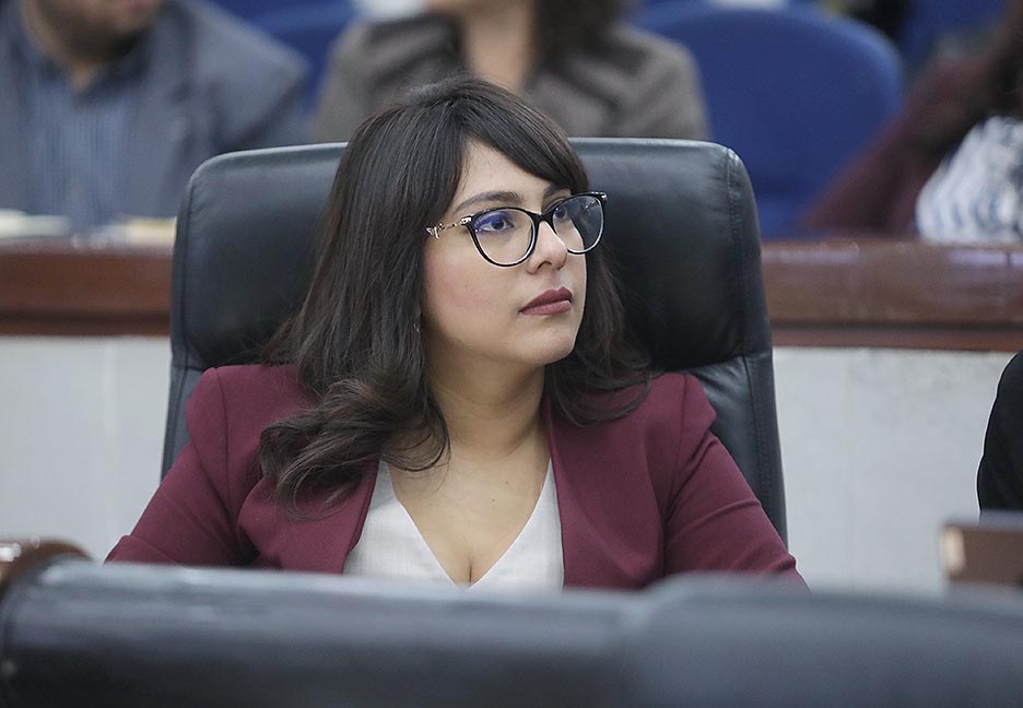 SE BUSCA FORTALECER EL FUNCIONAMIENTO DEL PADRÓN ESTATAL DE PERSONAS DEUDORAS ALIMENTARIAS MOROSAS Y GARANTIZAR SU CARÁCTER PÚBLICO.