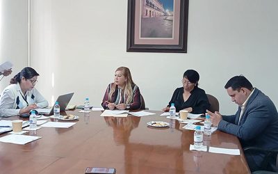 COMISIÓN DE MOVILIDAD, COMUNICACIONES Y TRANSPORTES APRUEBA MODIFICACIONES A LEY DE TRÁNSITO DEL ESTADO PARA INCLUIR Y REGULAR LOS VEHÍCULOS ELÉCTRICOS DE MICROMOVILIDAD