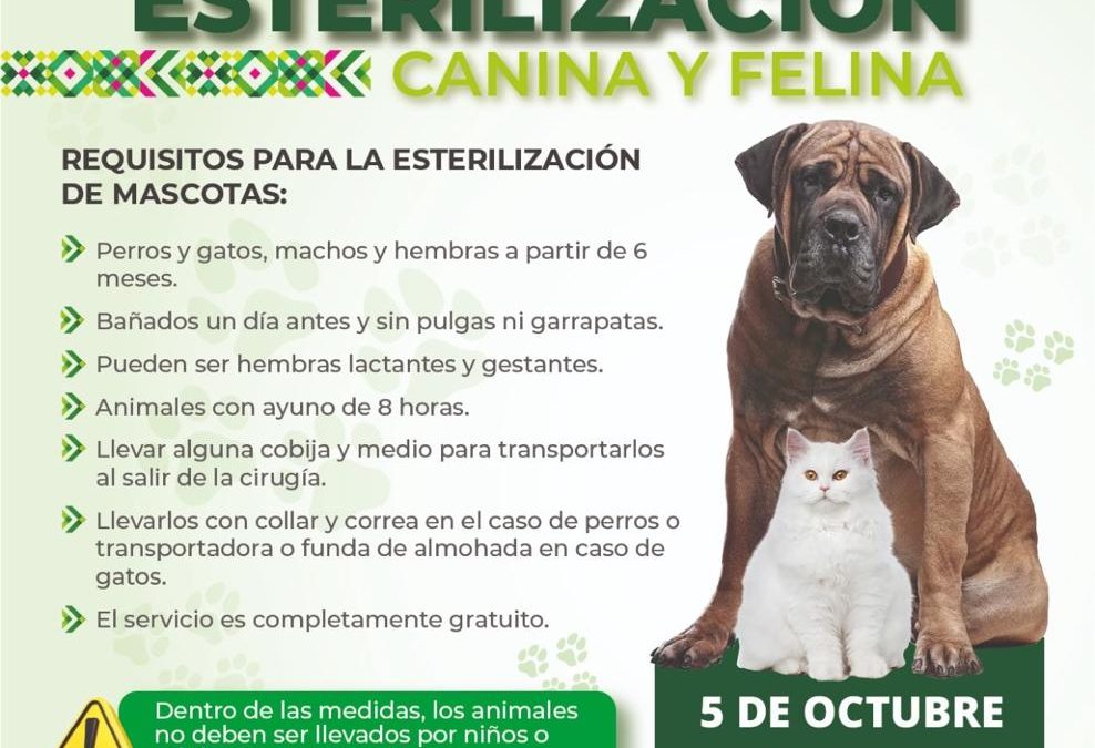 MEGAJORNADA GRATUITA OFRECERÁ 200 ESTERILIZACIONES Y VACUNACIÓN ANTIRRÁBICA