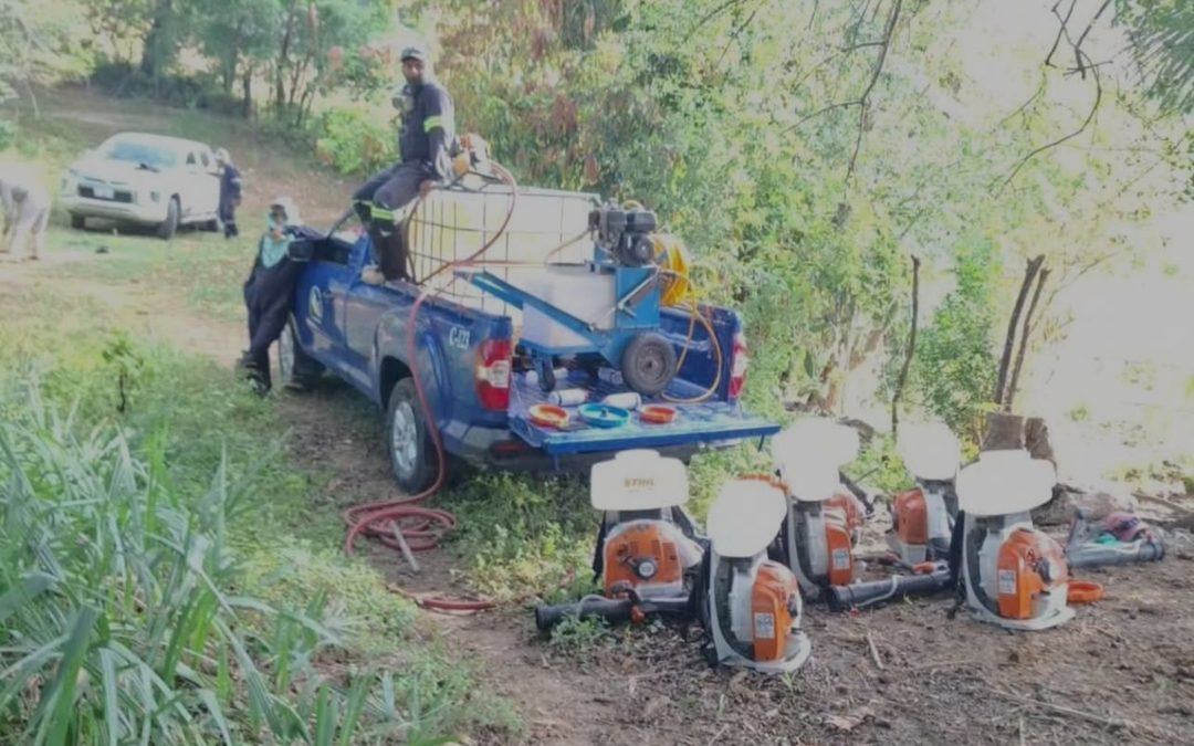 SAN LUIS POTOSÍ MANTIENE PROTOCOLOS PARA MANTENER BAJO CONTROL PLAGA DE LANGOSTA CENTROAMERICANA
