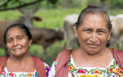 MÁS DE 483 MIL MUJERES RURALES CONTRIBUYEN AL DESARROLLO ECONÓMICO Y SOCIAL DE SAN LUIS POTOSÍ